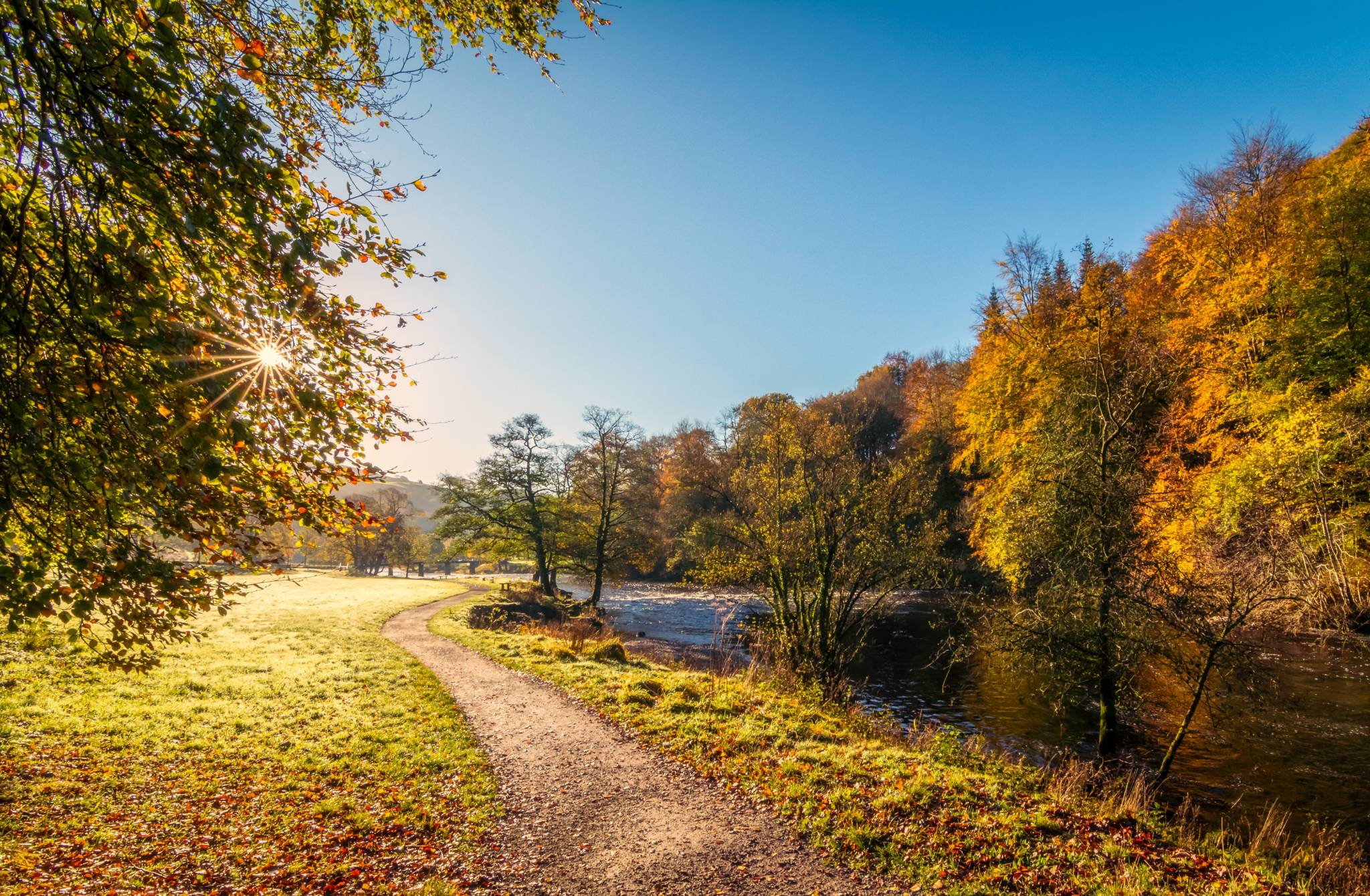 Autumn Trail UK