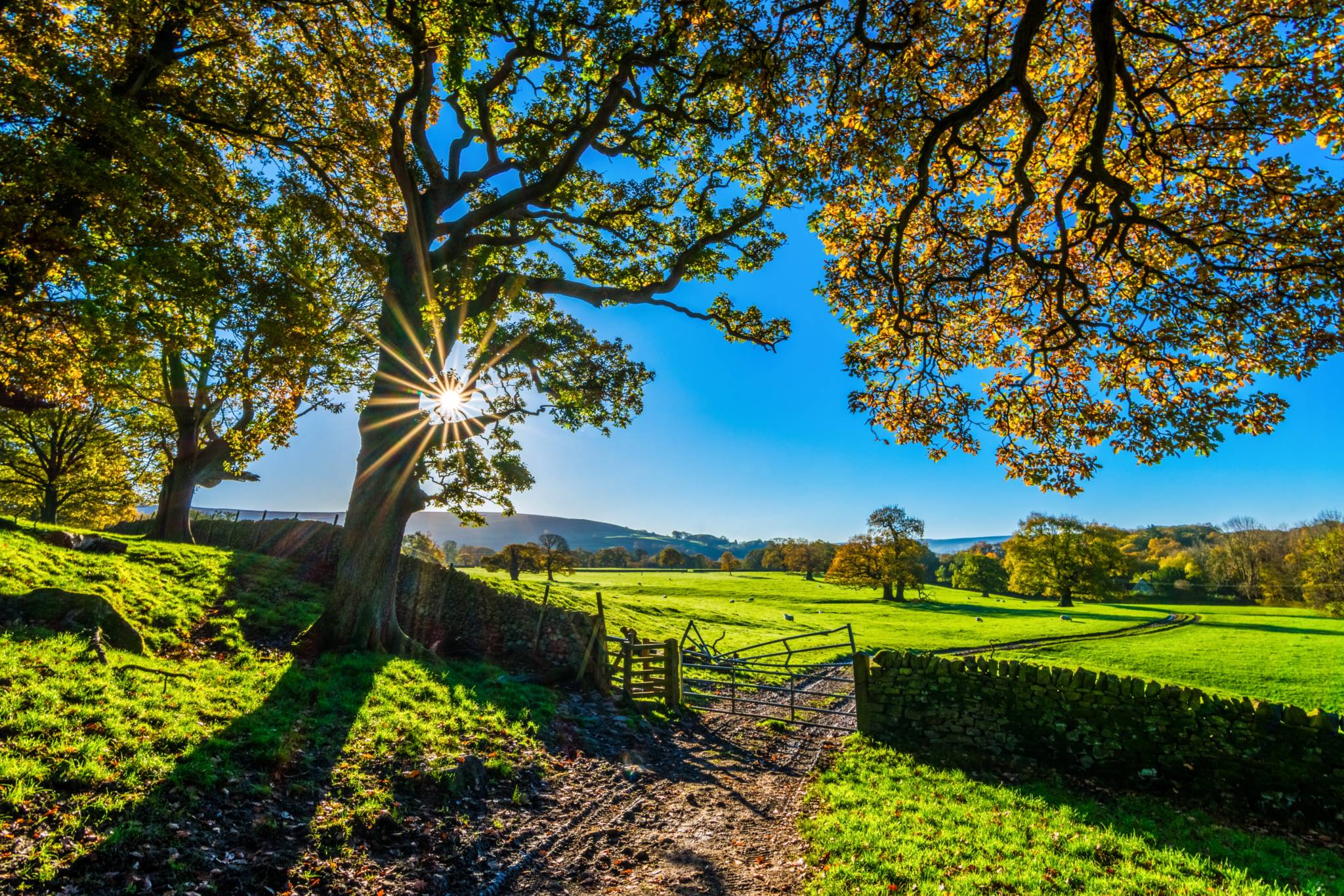 Autumn in Yorkshire