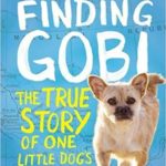 Finding Gobi